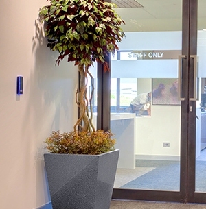 Granite planter in an office