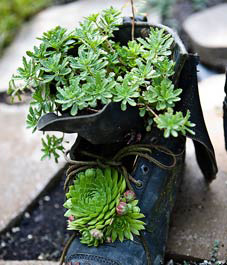 How to Make Your Container Garden Stand Out - Boots Container