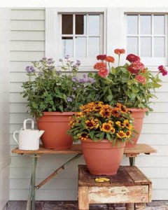 Tips for Container Gardeners