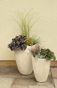 potted plants in landscapoing