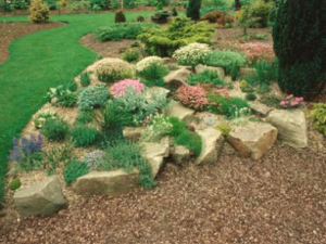 Image 1 - Rock the House - VI - Article 12 landscaping with rocks